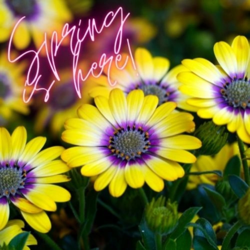Spring & Summer items